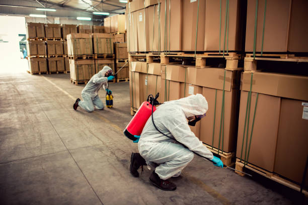 Best Best Pest Control Companies  in Beechwood Trails, OH