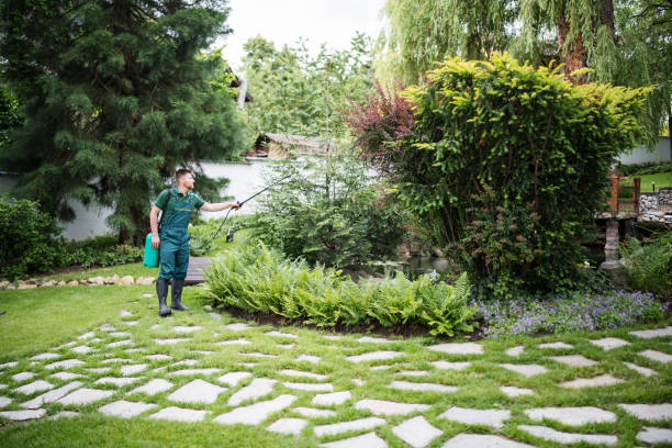 Best Residential Pest Control  in Beechwood Trails, OH