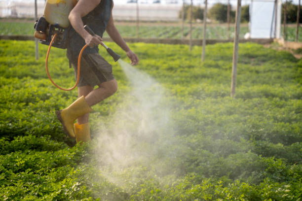 Best Pest Removal Services  in Beechwood Trails, OH