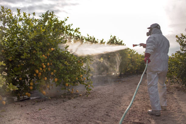 Best Emergency Pest Control  in Beechwood Trails, OH