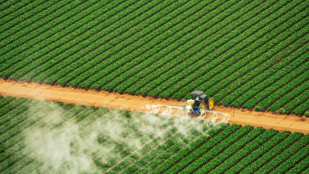Best Mosquito Control Services  in Beechwood Trails, OH