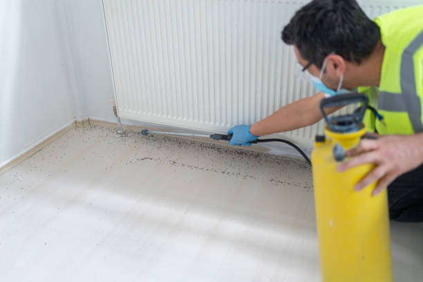 Pest Control for Restaurants in Beechwood Trails, OH